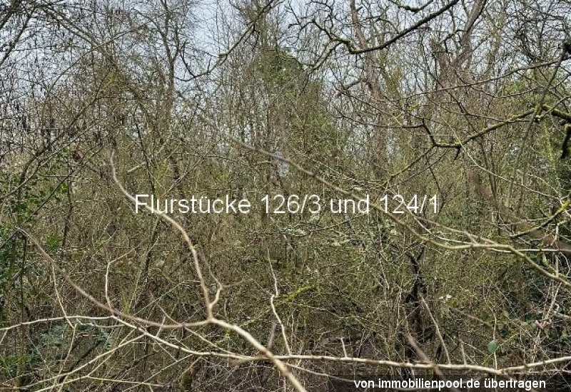 Flurstück 126-3_1