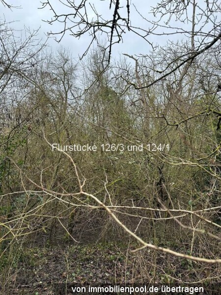 Flurstück 126-3_2