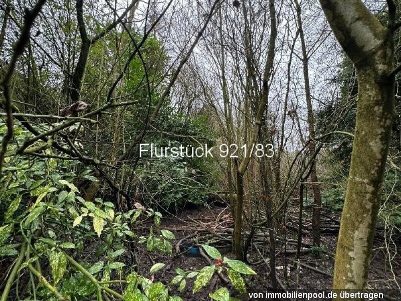 Flurstück 921-83
