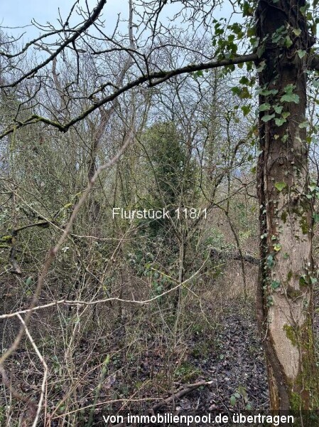 Flurstück 118-1